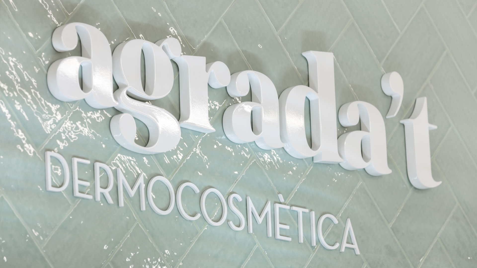 Branding corporativo farmacia La Remei 13
