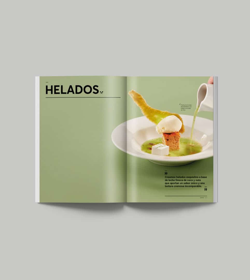 Diseño editorial del catálogo corporativo para Chelats Sarrate por Nomon Design, agencia de branding