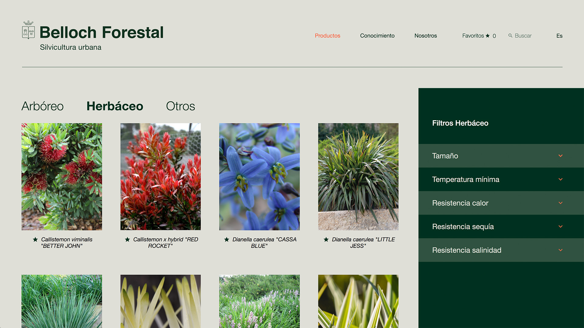 Pagina web de la comunicación digital Belloch Forestal por Nomon Design, agencia de branding