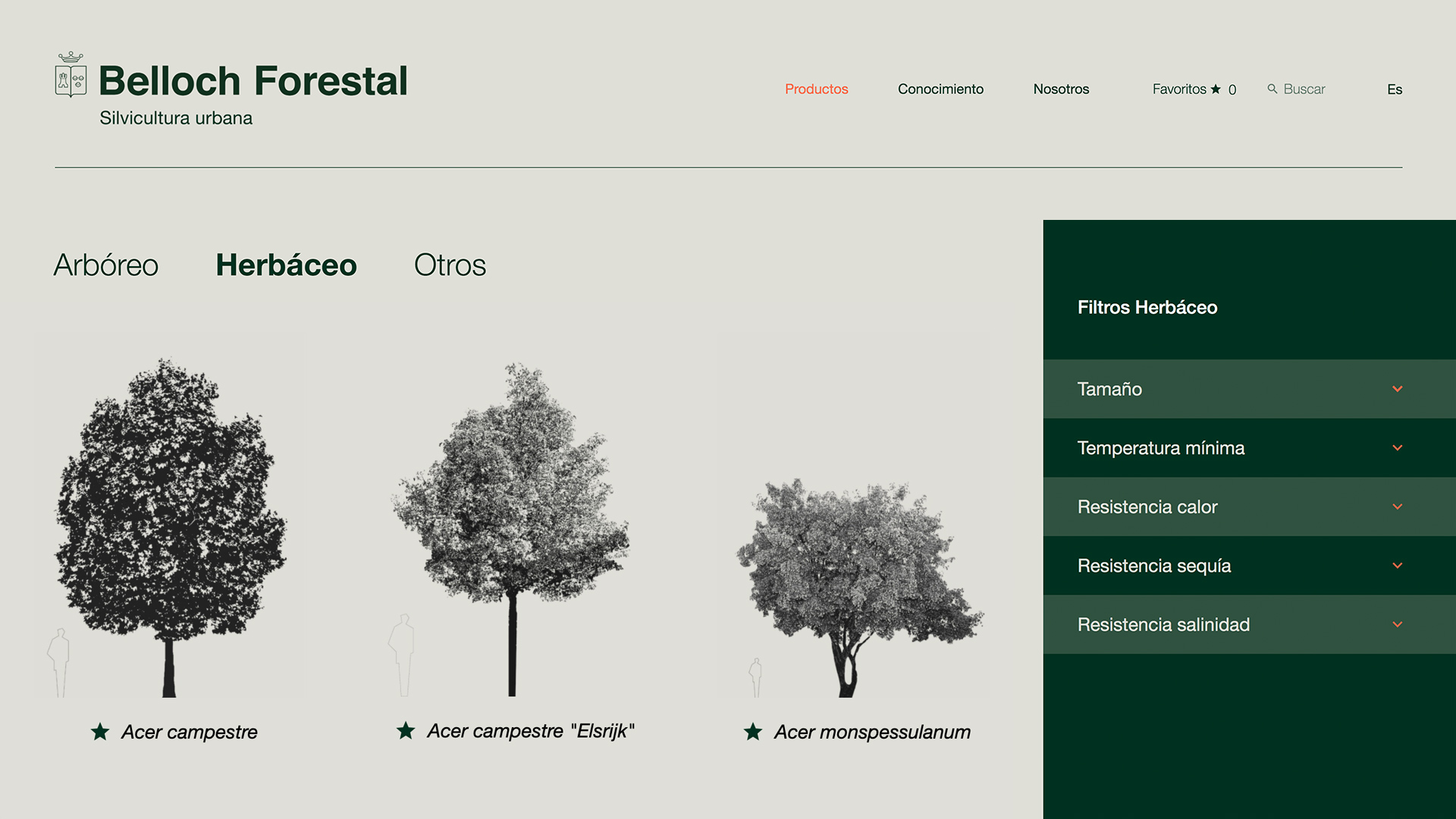 Detalle de la comunicación digital Belloch Forestal por Nomon Design, agencia de branding
