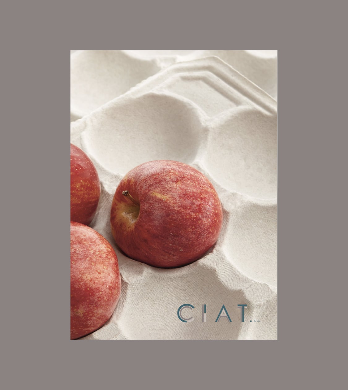 Dirección de arte del catálogo corporativo y de producto de CIAT por Nomon Design, agencia de branding