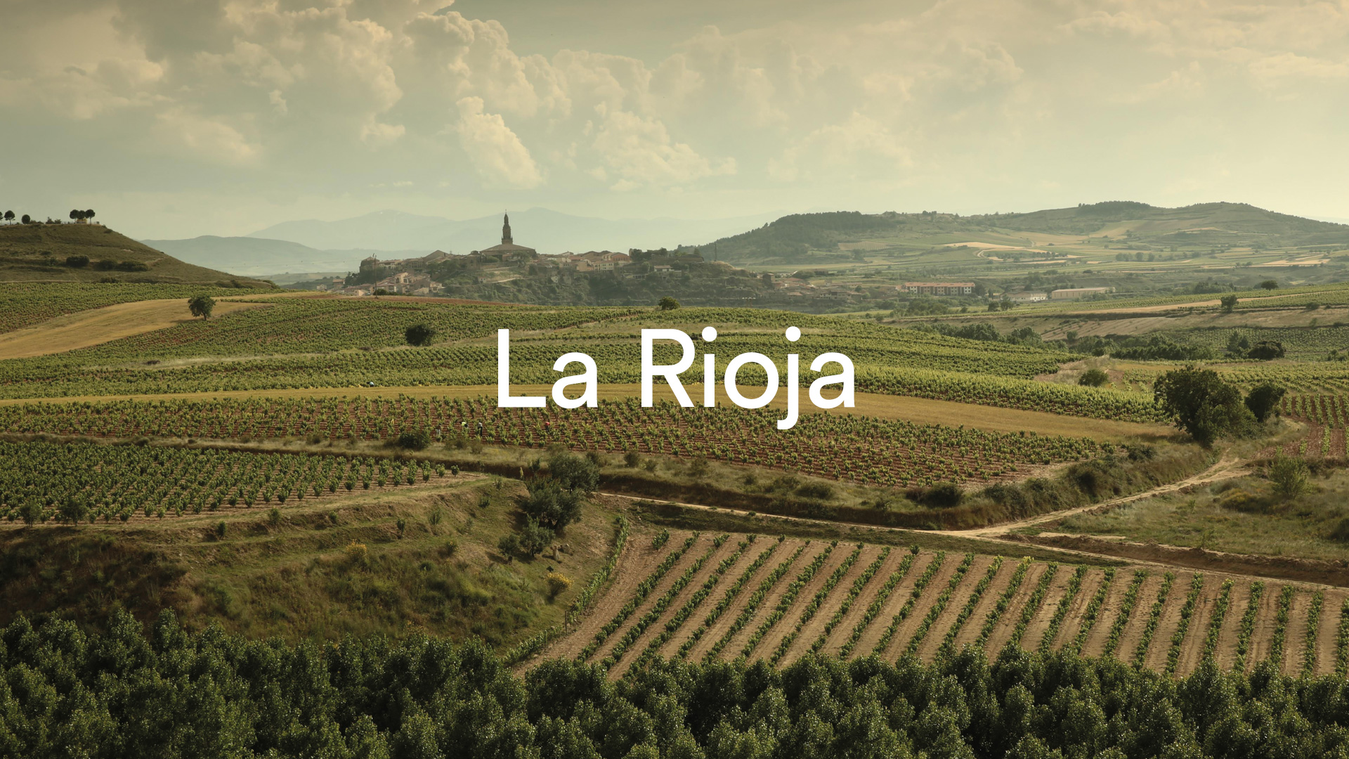 La Rioja en la campaña de comunicación Tasting Spain de Nomon Design, agencia de branding para ICEX Foods & Wines.