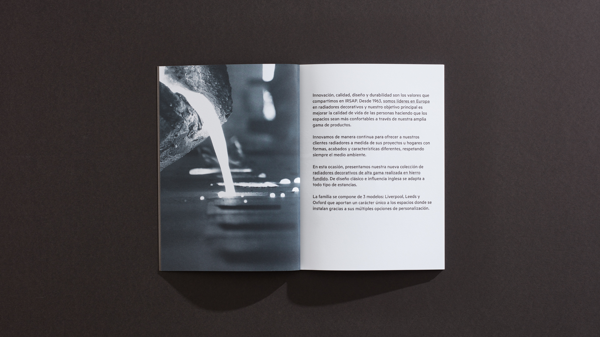 Interiores del diseño editorial del catálogo Hierro fundido de IRSAP por Nomon Design, agencia de branding