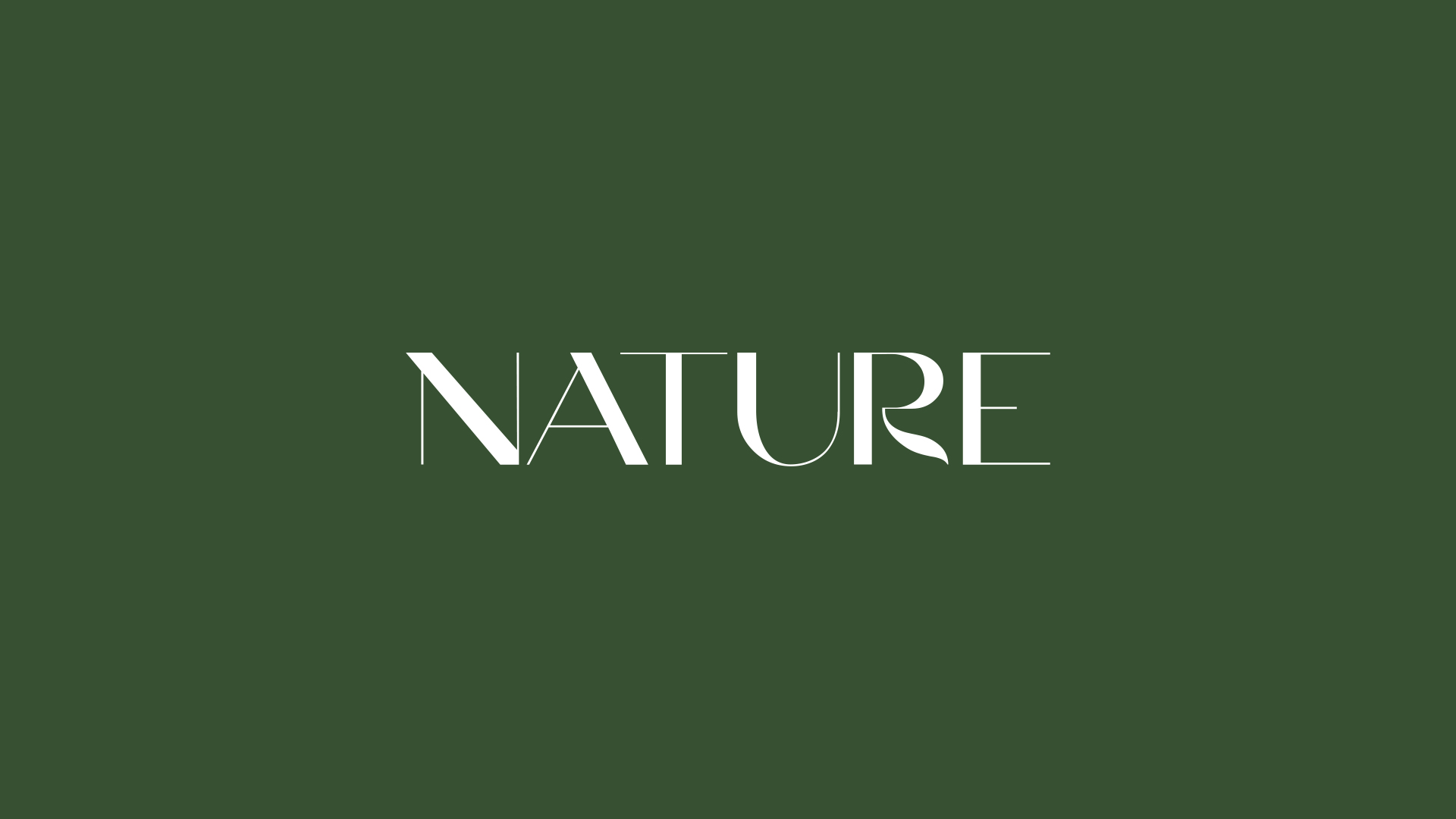 Branding corporativo de Nature by Klein por Nomon Design, agencia de branding