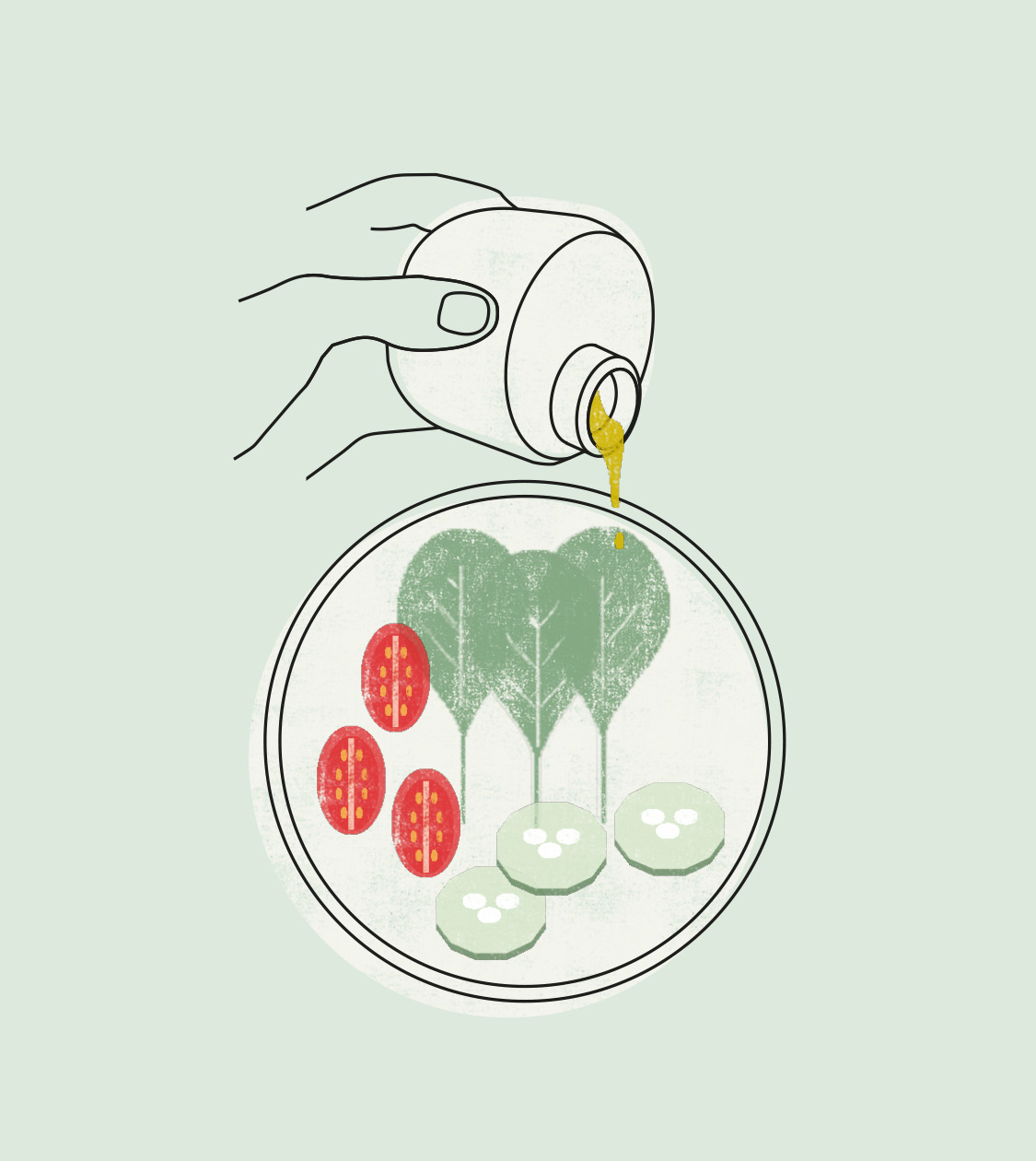 Ilustraciones para la comunicación de la colección To Go Organic de Lékué