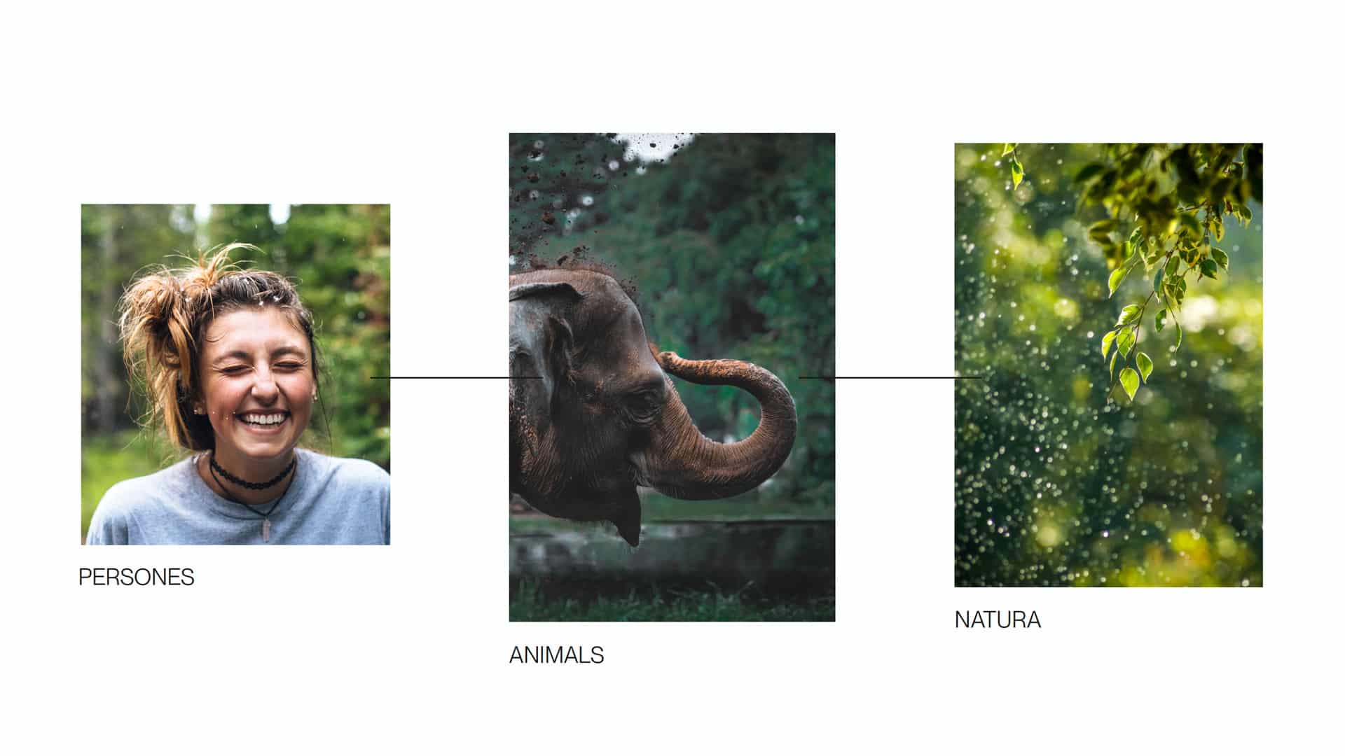 Nueva estrategia de reposicionamiento y comunicación del Zoo de Barcelona por Nomon Design, agencia de branding