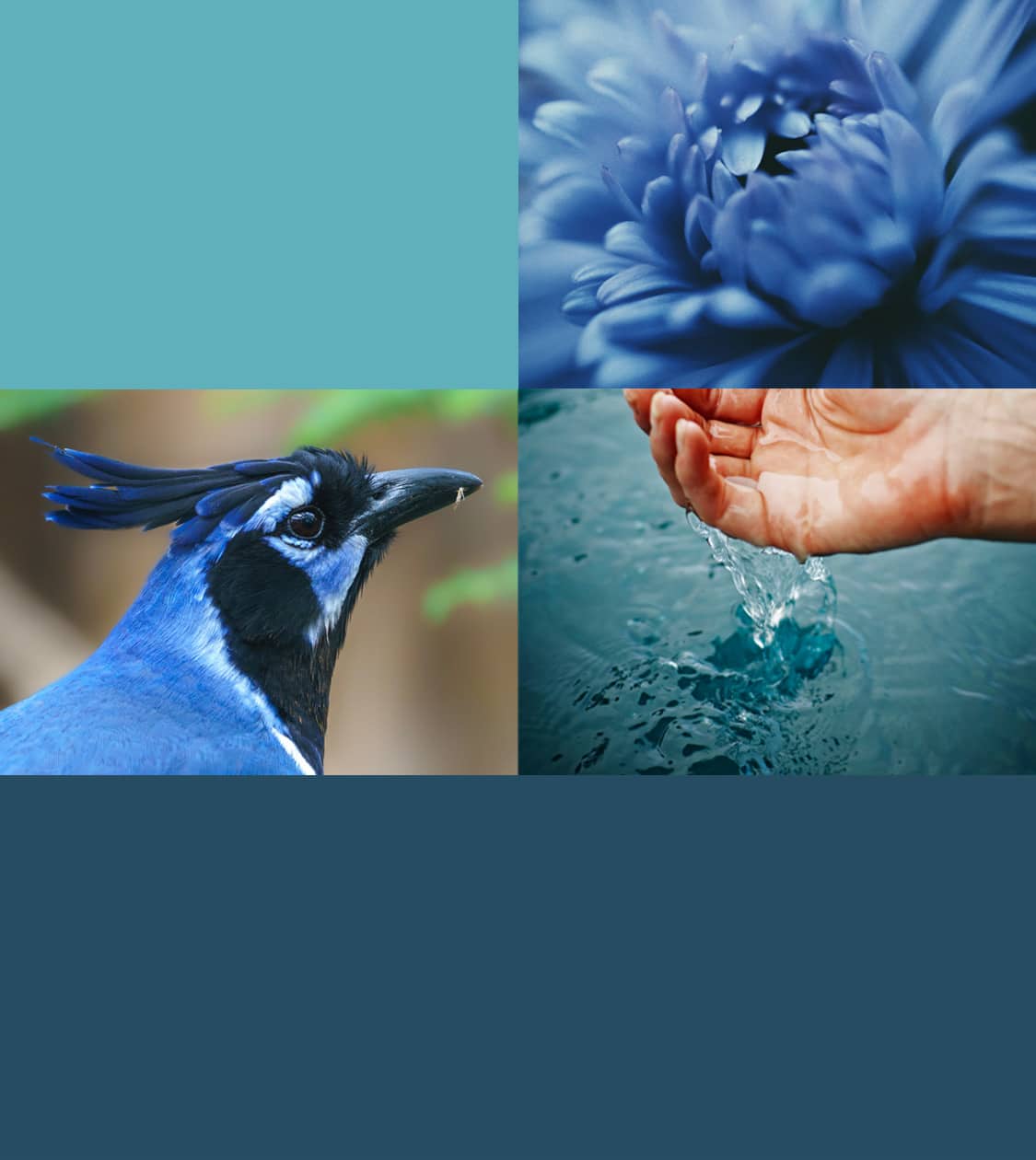 Moodboard de la nueva estrategia de reposicionamiento y comunicación del Zoo de Barcelona por NOMON DESIGN, agencia de branding